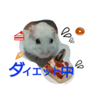 ハムスターズスタンプ2☆（個別スタンプ：5）