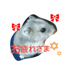 ハムスターズスタンプ2☆（個別スタンプ：9）
