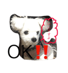 おてんば犬くーちゃんのスタンプ（個別スタンプ：2）
