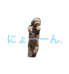 ちゃちゃまる スタン（個別スタンプ：4）