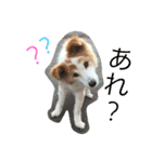 犬のとろろ（個別スタンプ：5）
