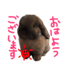 fam's（個別スタンプ：1）