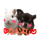 fam's（個別スタンプ：7）