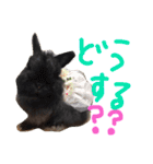 fam's（個別スタンプ：9）
