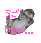 fam's（個別スタンプ：10）