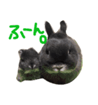 fam's（個別スタンプ：11）