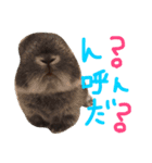 fam's（個別スタンプ：12）