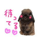 fam's（個別スタンプ：13）