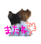 fam's（個別スタンプ：16）