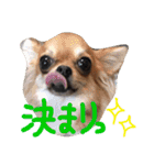 fam's（個別スタンプ：17）
