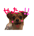 fam's（個別スタンプ：18）