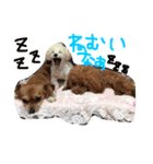 fam's（個別スタンプ：19）