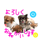 fam's（個別スタンプ：24）