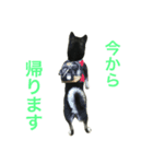 黒柴あずき2（個別スタンプ：9）