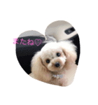 tinachan（個別スタンプ：3）