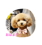 tinachan（個別スタンプ：6）