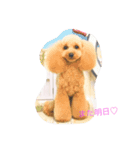 tinachan（個別スタンプ：8）
