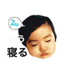 むしの毎日（個別スタンプ：13）