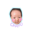 はなちゃん 第一弾（個別スタンプ：3）