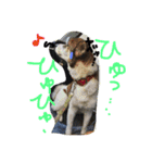わたしなるちゃん（個別スタンプ：1）