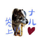 わたしなるちゃん（個別スタンプ：3）