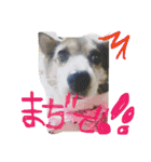 わたしなるちゃん（個別スタンプ：4）