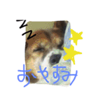 わたしなるちゃん（個別スタンプ：9）
