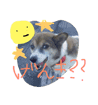 わたしなるちゃん（個別スタンプ：10）