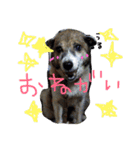 わたしなるちゃん（個別スタンプ：15）