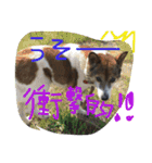 わたしなるちゃん（個別スタンプ：19）