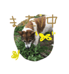 わたしなるちゃん（個別スタンプ：20）