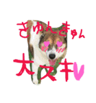 わたしなるちゃん（個別スタンプ：23）