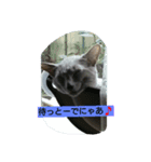 Mikas word is kansai（個別スタンプ：4）