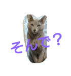 Mikas word is kansai（個別スタンプ：5）
