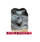 Mikas word is kansai（個別スタンプ：6）
