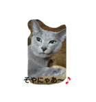 Mikas word is kansai（個別スタンプ：7）