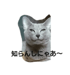 Mikas word is kansai（個別スタンプ：8）