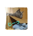 ミカの毎日（個別スタンプ：2）