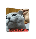ミカの毎日（個別スタンプ：4）