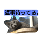ミカの毎日（個別スタンプ：7）