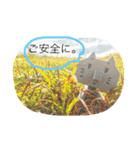 吾輩は犬である。猫ではない。（個別スタンプ：8）