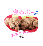 モコの日常あいさつ（個別スタンプ：3）