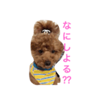 モコの日常あいさつ（個別スタンプ：6）