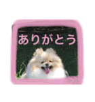 あおとももの日常（個別スタンプ：1）