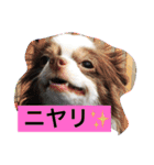 あおとももの日常（個別スタンプ：4）