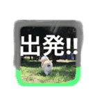 あおとももの日常（個別スタンプ：5）