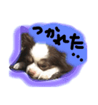 あおとももの日常（個別スタンプ：7）