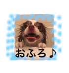 あおとももの日常（個別スタンプ：8）
