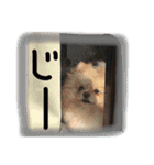 あおとももの日常（個別スタンプ：9）