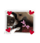 あおとももの日常（個別スタンプ：14）